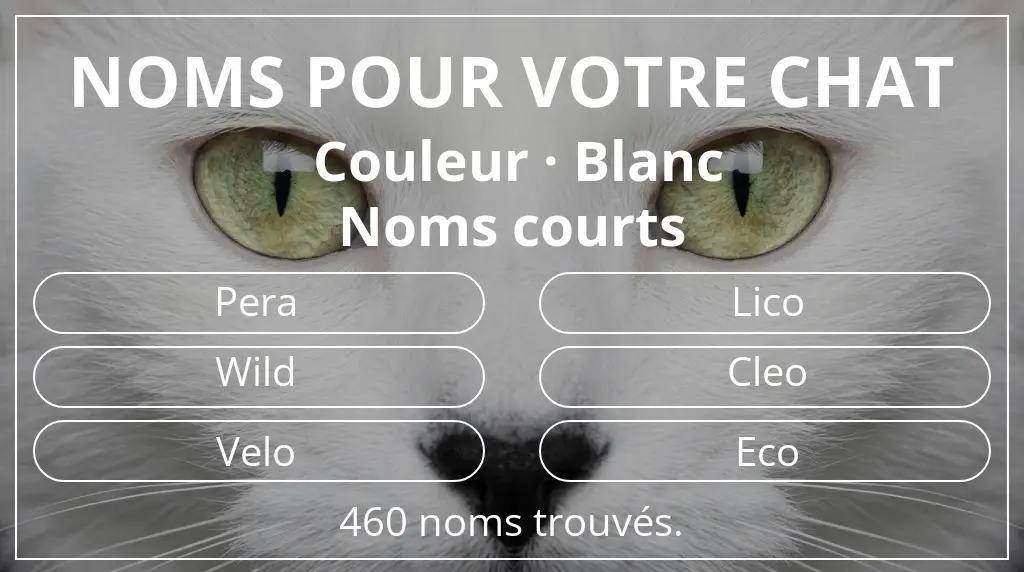 Noms de chats inspirés de couleur blanc et longueur du nom court (2 à 4)