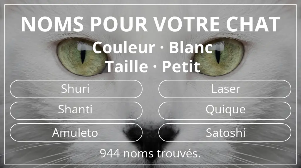 Noms pour chats basés sur couleur blanc et taille petit