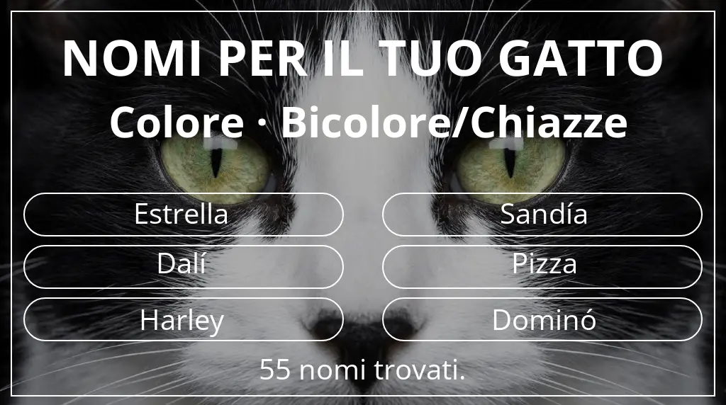Nomi per gatti basati su colore bicolore/chiazze