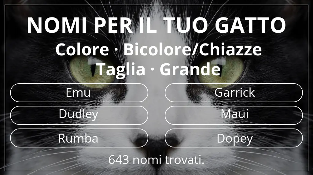 Nomi felini basati su colore bicolore/chiazze e taglia grande