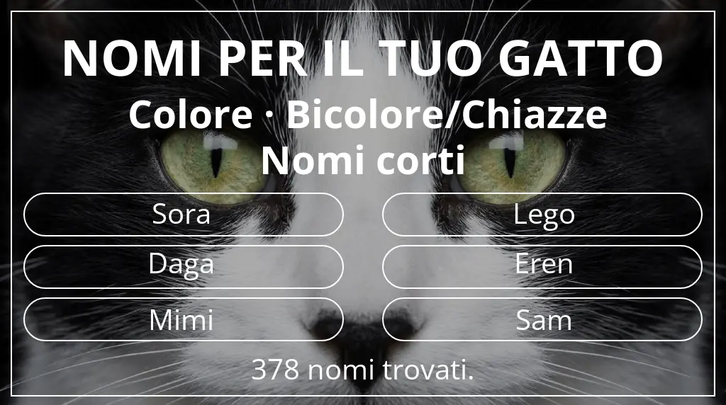 Nomi per gatti legati a colore bicolore/chiazze e lunghezza del nome breve (2–4)