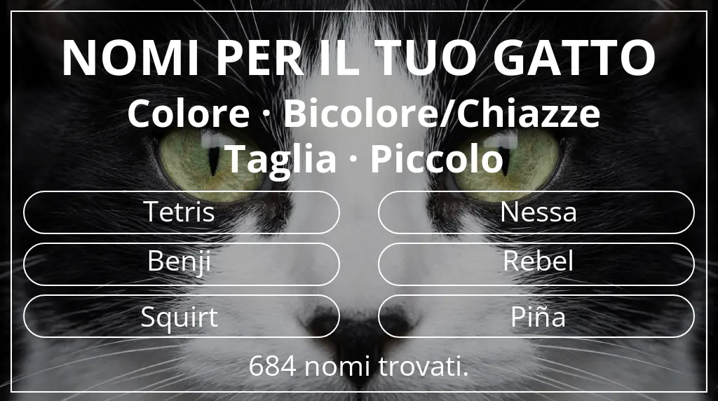 Nomi per gatti basati su colore bicolore/chiazze e taglia piccolo