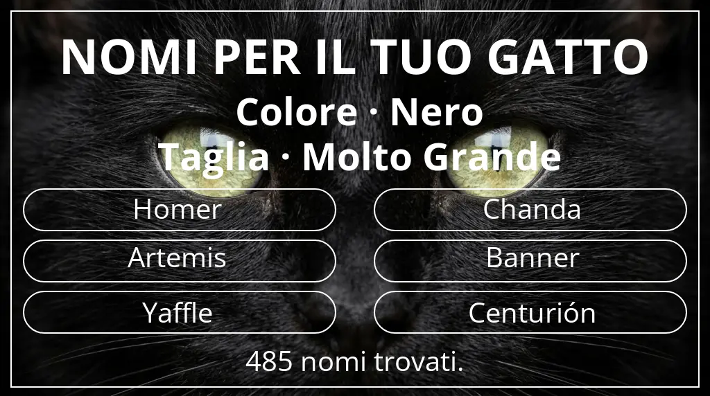 Nomi per gatti basati su colore nero e taglia molto grande