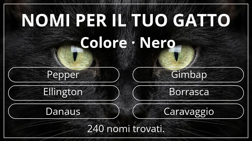 Nomi per gatti basati su colore nero