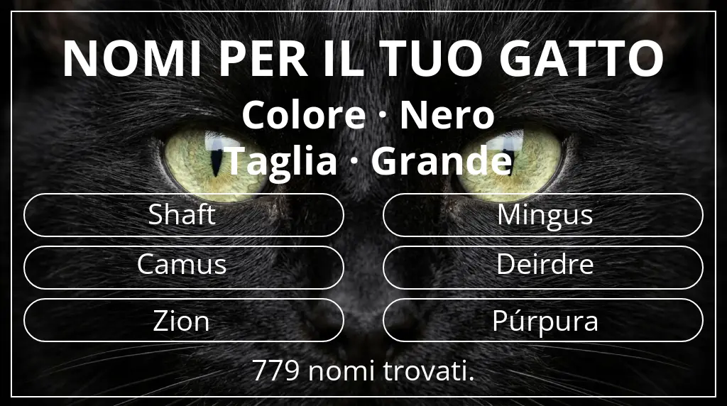 Nomi per gatti basati su colore nero e taglia grande