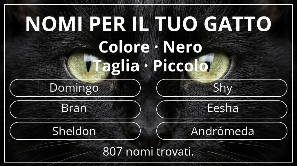 Nomi felini legati a colore nero e taglia piccolo
