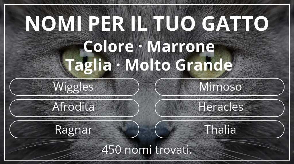 Nomi per gatti ispirati a colore marrone e taglia molto grande