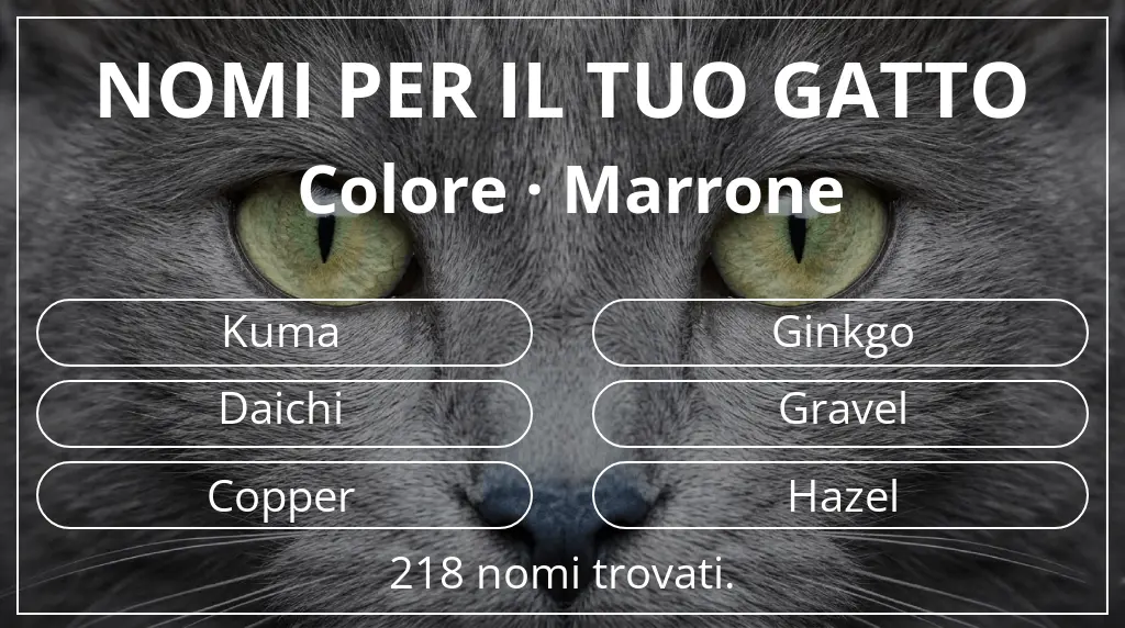 Nomi per gatti ispirati a colore marrone