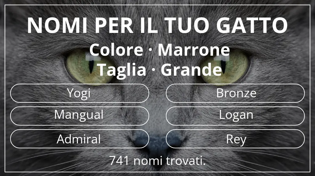 Nomi per il tuo gatto basati su colore marrone e taglia grande