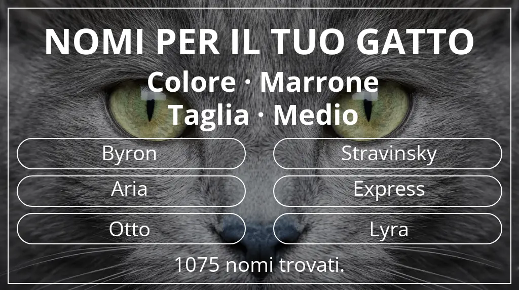 Nomi per il tuo gatto basati su colore marrone e taglia medio