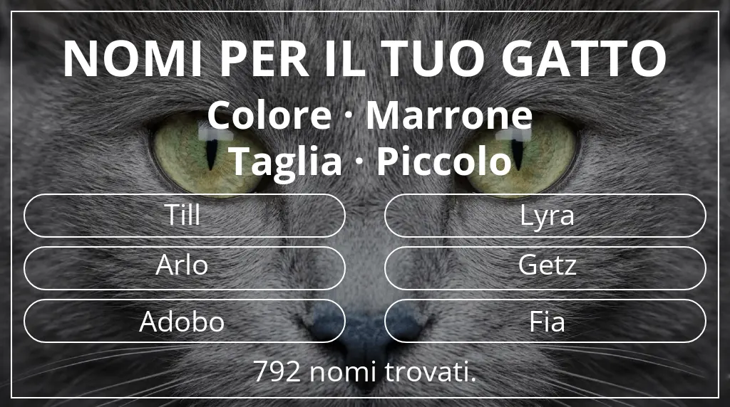 Nomi per gatti legati a colore marrone e taglia piccolo