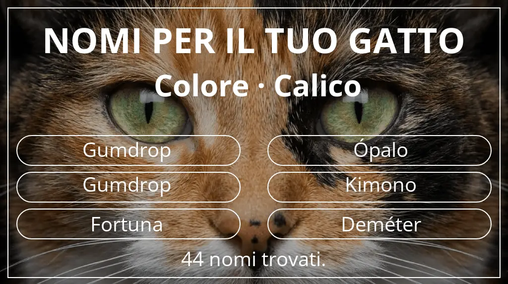 Nomi per il tuo gatto basati su colore calico