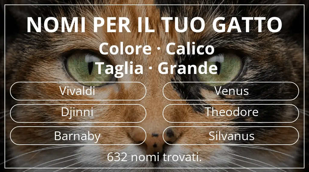 Nomi per gatti basati su colore calico e taglia grande