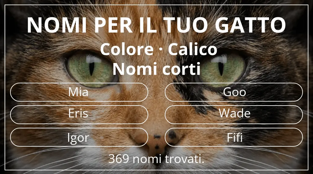 Nomi per il tuo gatto basati su colore calico e lunghezza del nome breve (2–4)