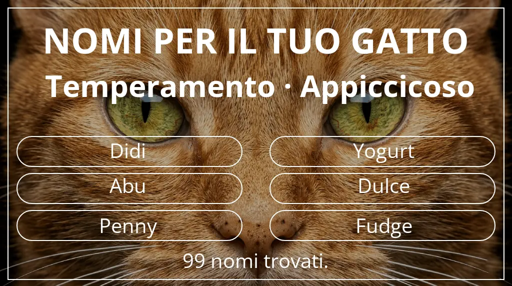 Nomi felini ispirati a temperamento appiccicoso