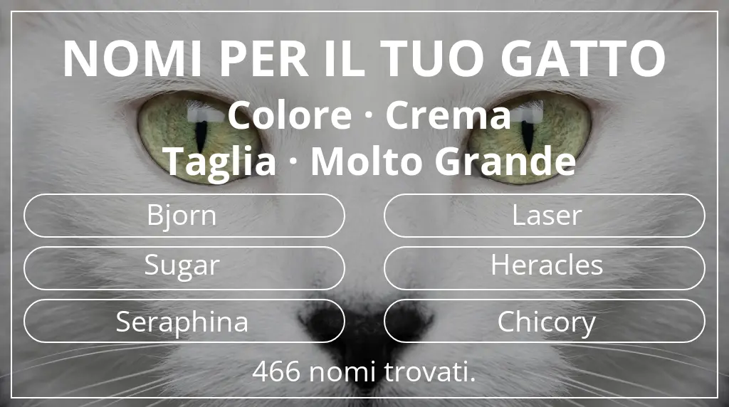 Nomi per il tuo gatto basati su colore crema e taglia molto grande
