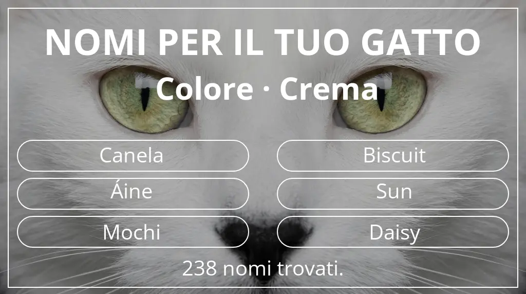 Nomi felini ispirati a colore crema