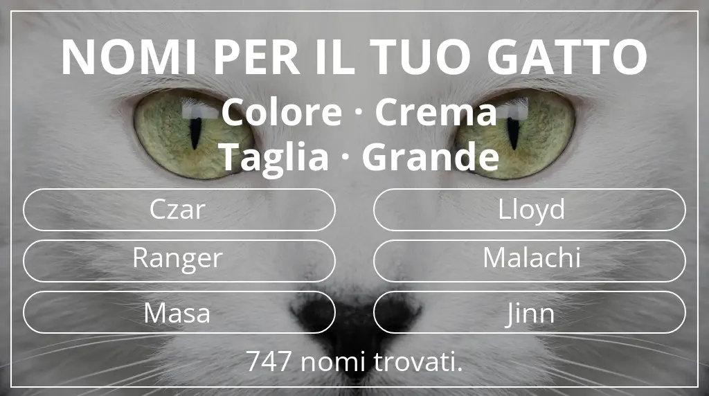 Nomi per il tuo gatto legati a colore crema e taglia grande