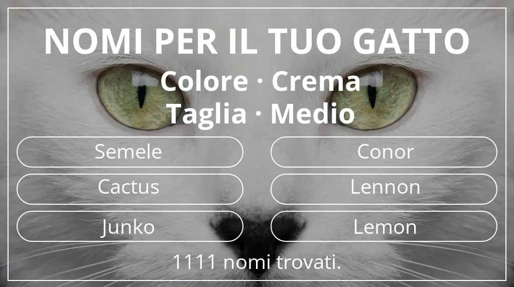Nomi felini basati su colore crema e taglia medio