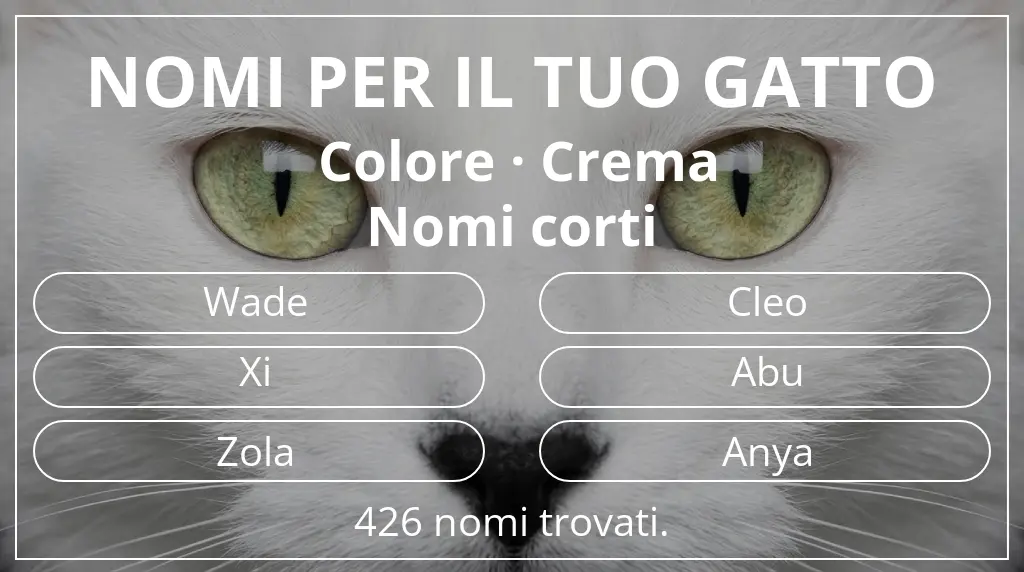 Nomi felini legati a colore crema e lunghezza del nome breve (2–4)