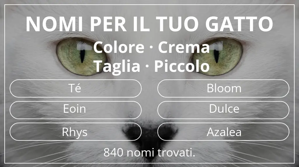 Nomi per il tuo gatto ispirati a colore crema e taglia piccolo