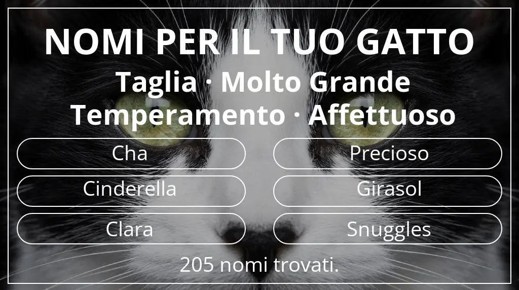 Nomi per gatti ispirati a taglia molto grande e temperamento affettuoso