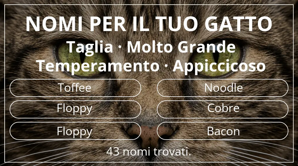 Nomi per il tuo gatto basati su taglia molto grande e temperamento appiccicoso