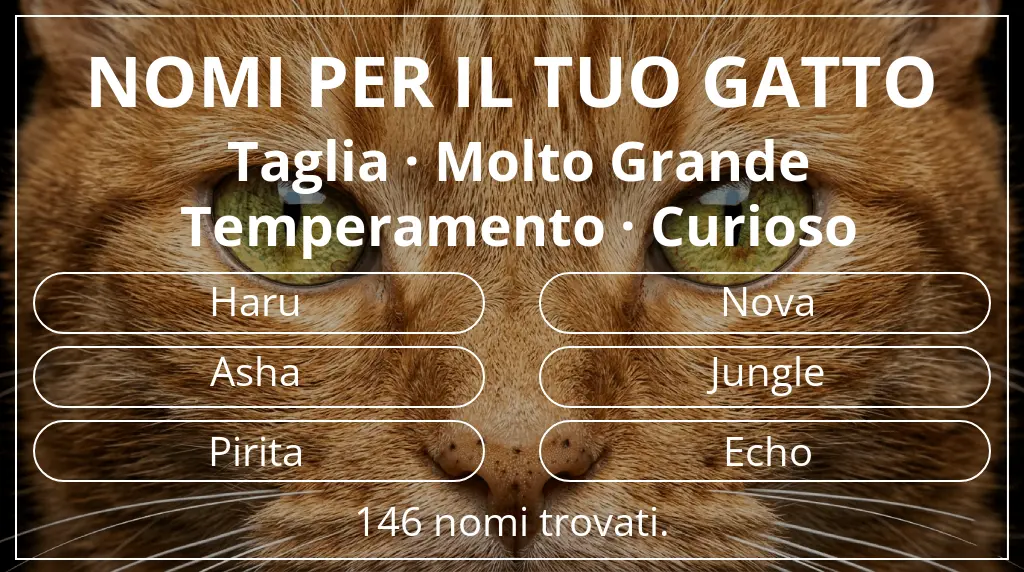 Nomi per il tuo gatto basati su taglia molto grande e temperamento curioso
