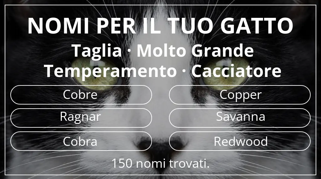 Nomi per gatti basati su taglia molto grande e temperamento cacciatore