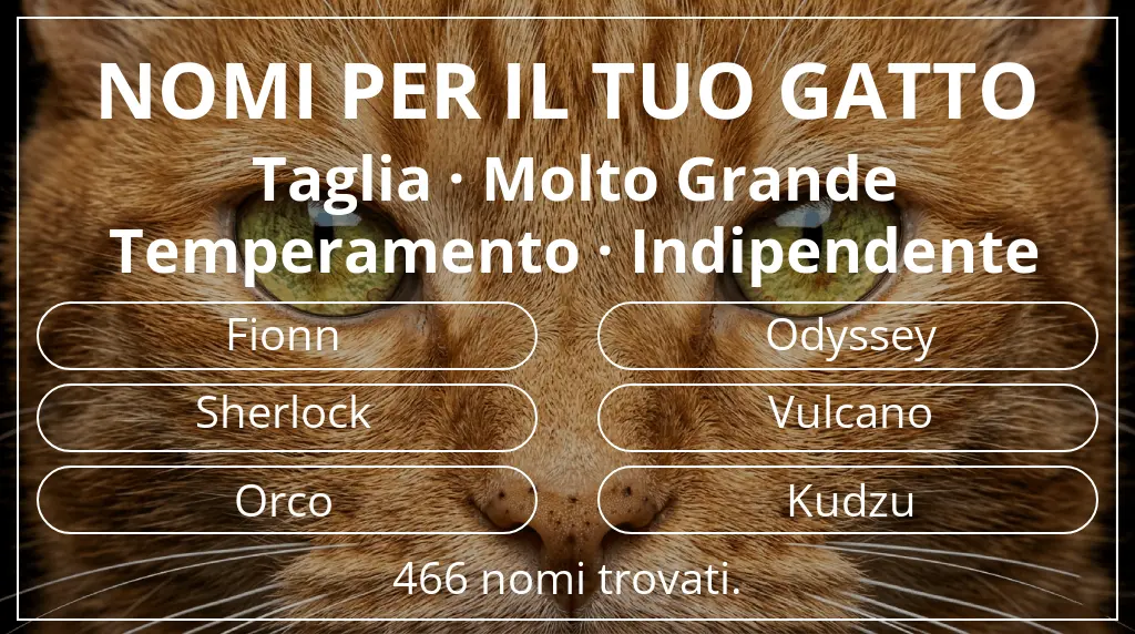 Nomi felini ispirati a taglia molto grande e temperamento indipendente