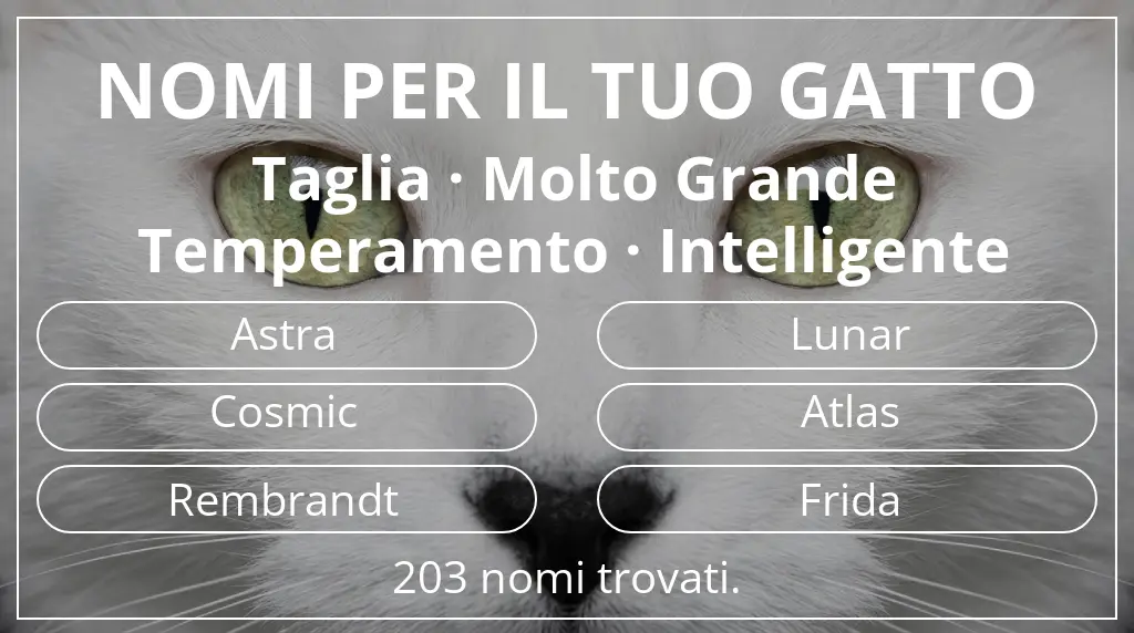 Nomi per gatti legati a taglia molto grande e temperamento intelligente