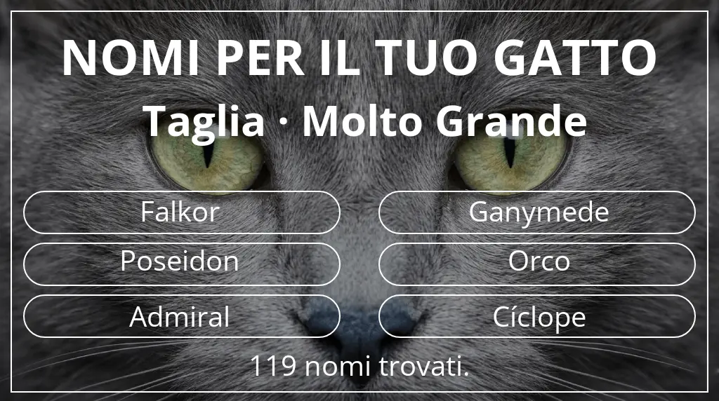 Nomi per gatti basati su taglia molto grande