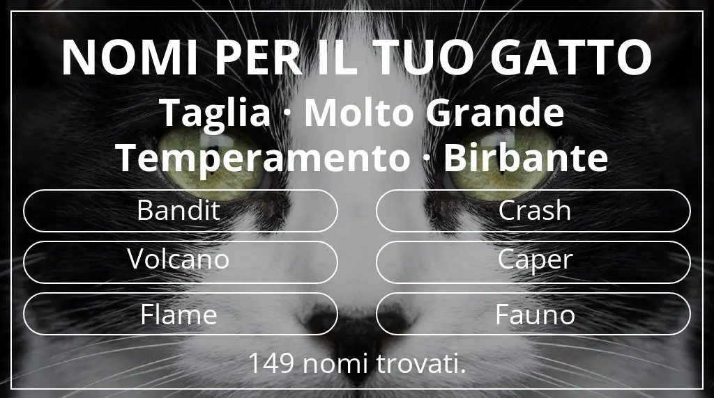 Nomi per gatti basati su taglia molto grande e temperamento birbante
