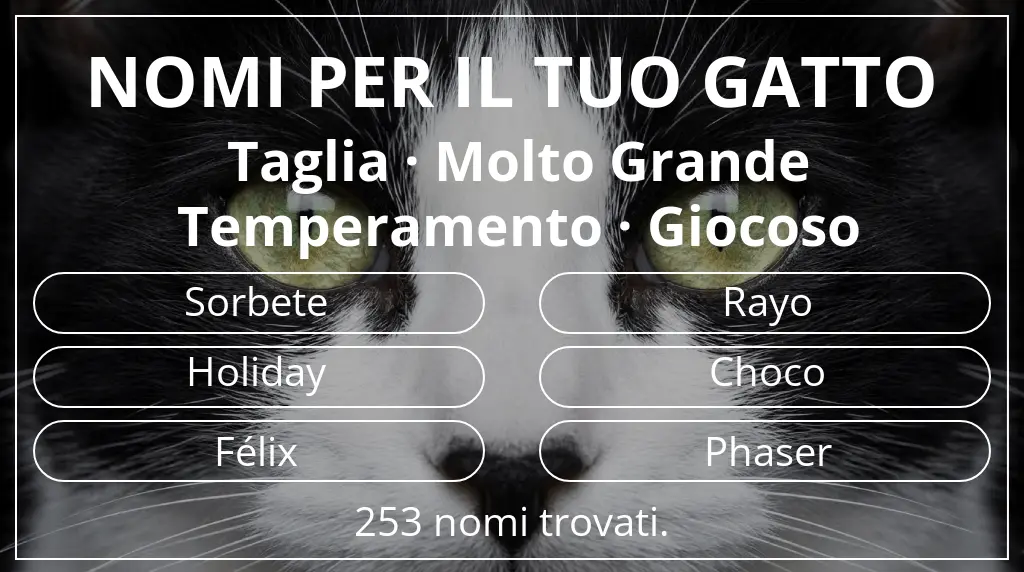 Nomi felini basati su taglia molto grande e temperamento giocoso
