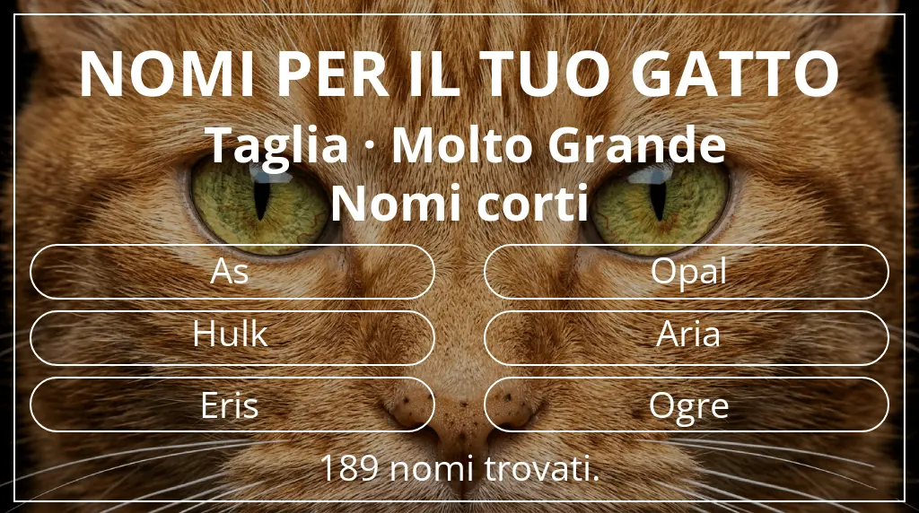 Nomi felini ispirati a taglia molto grande e lunghezza del nome breve (2–4)