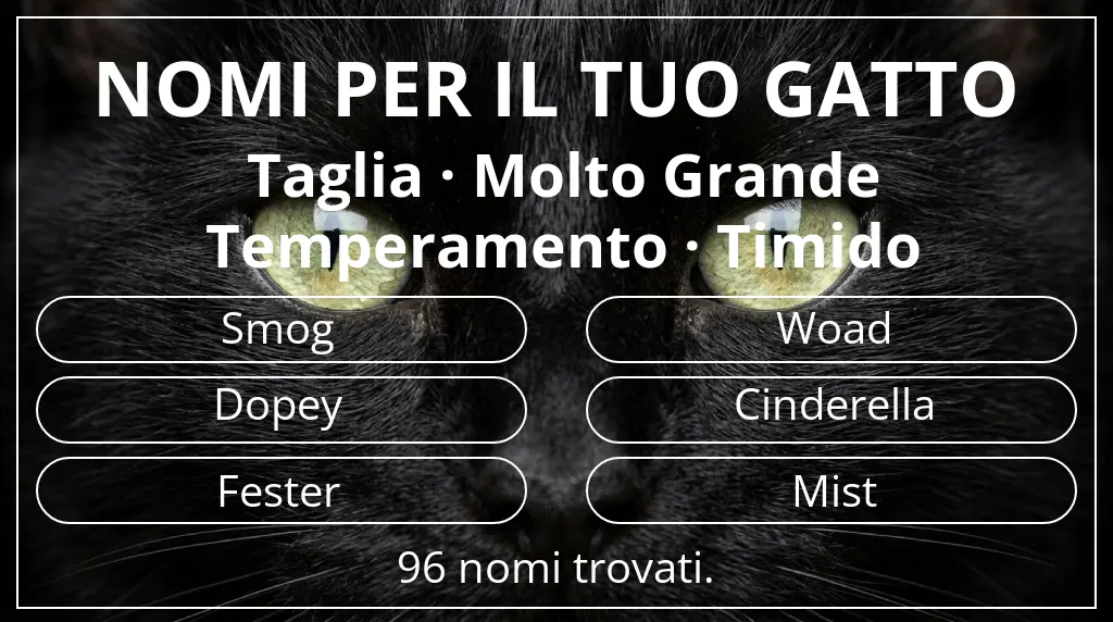 Nomi per gatti legati a taglia molto grande e temperamento timido