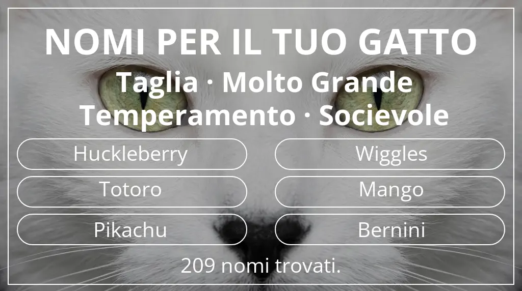 Nomi per gatti legati a taglia molto grande e temperamento socievole