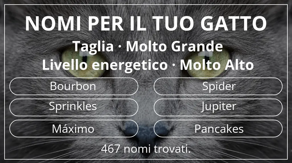 Nomi felini legati a taglia molto grande e livello energetico molto alto