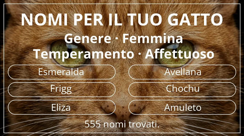 Nomi per il tuo gatto legati a genere femmina e temperamento affettuoso