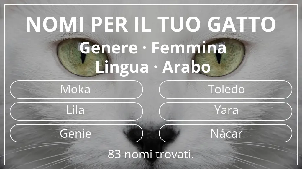 Nomi felini ispirati a genere femmina e lingua arabo