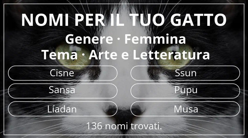 Nomi per il tuo gatto legati a genere femmina e tema arte e letteratura