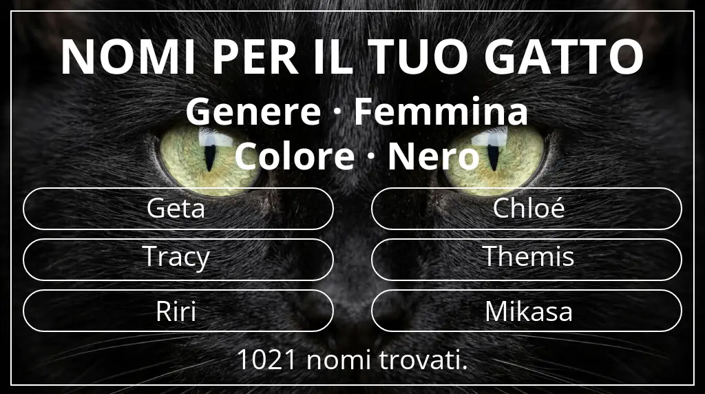 Nomi per gatti legati a genere femmina e colore nero