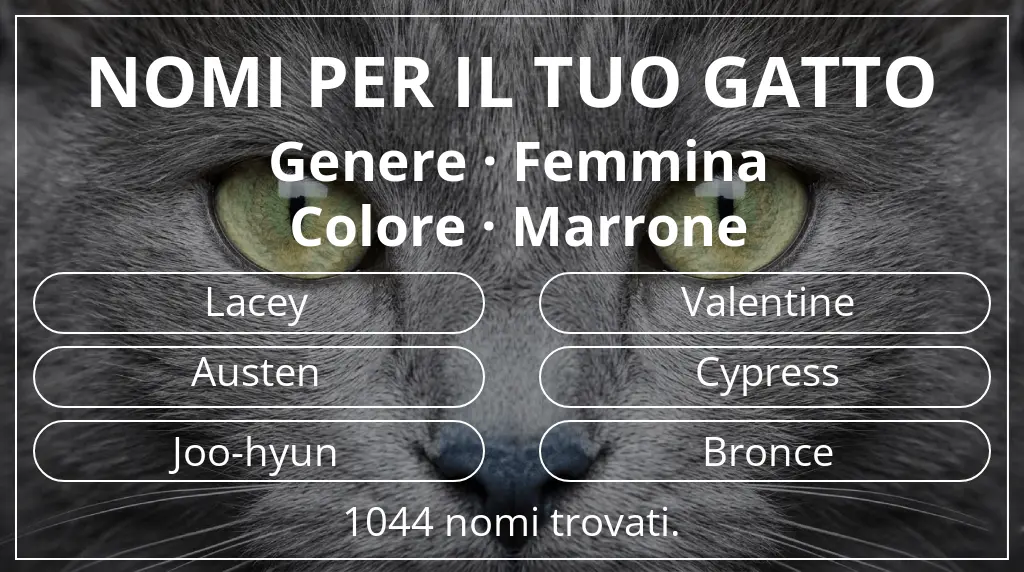 Nomi per gatti ispirati a genere femmina e colore marrone