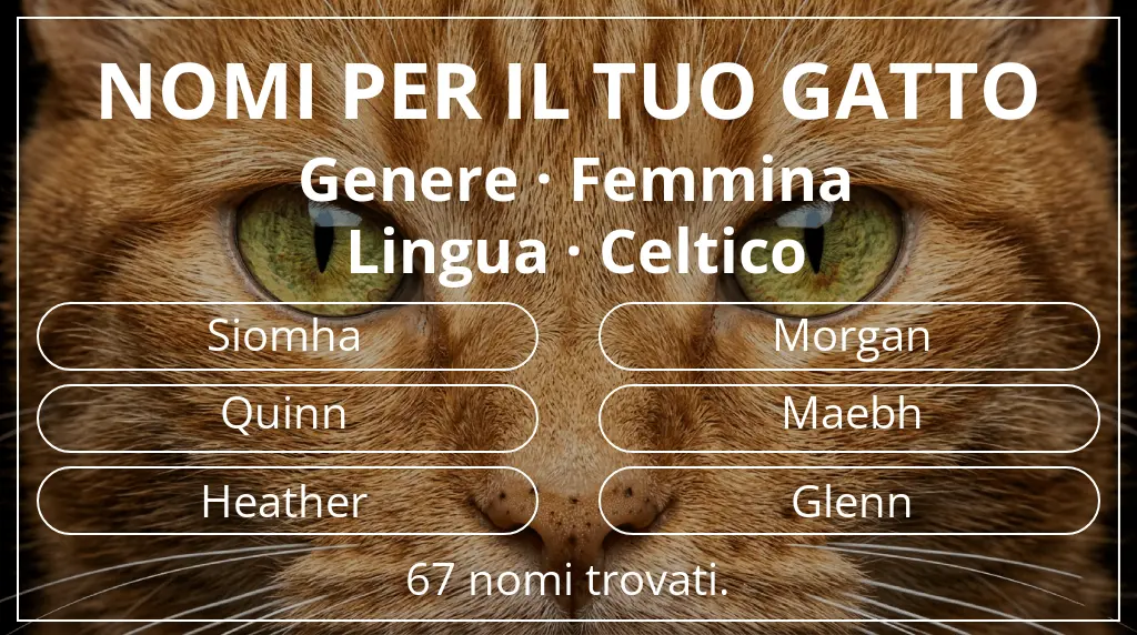 Nomi per gatti basati su genere femmina e lingua celtico