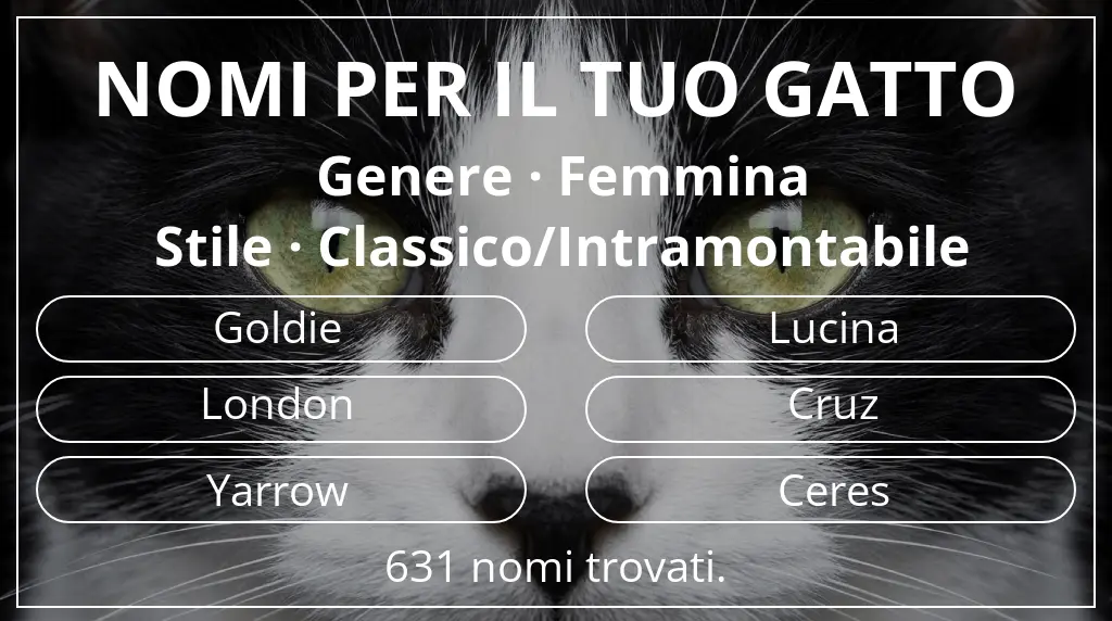 Nomi per gatti legati a genere femmina e stile classico/intramontabile