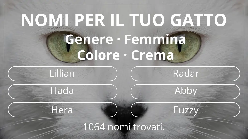 Nomi per gatti basati su genere femmina e colore crema