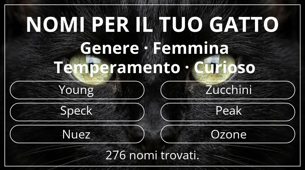 Nomi per gatti legati a genere femmina e temperamento curioso