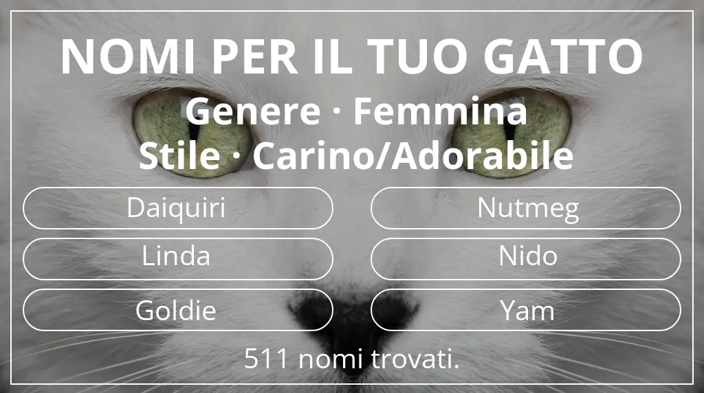 Nomi per il tuo gatto basati su genere femmina e stile carino/adorabile