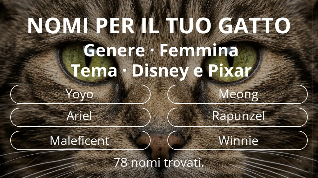 Nomi per il tuo gatto ispirati a genere femmina e tema disney e pixar