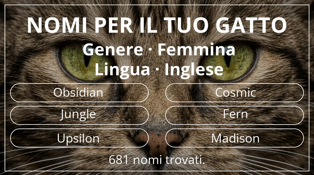 Nomi felini ispirati a genere femmina e lingua inglese